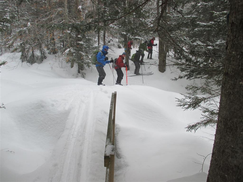 Photo by Marie Bartlett